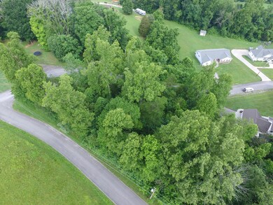 DJI_0498