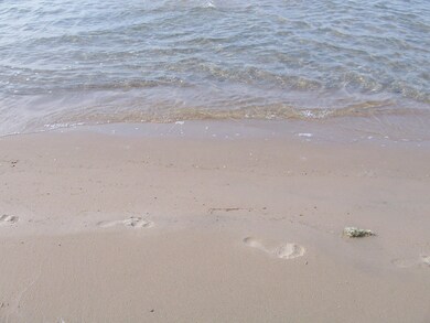 Footprints in the sand  :)