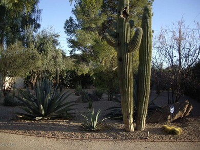 Frontyard_Landscaping