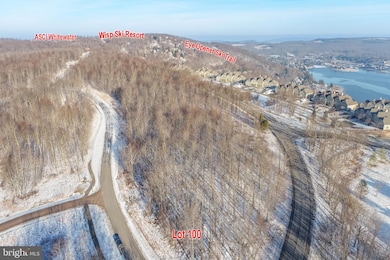 Lot 100 Snowhaven, Mc Henry, MD 21541 - photo 6