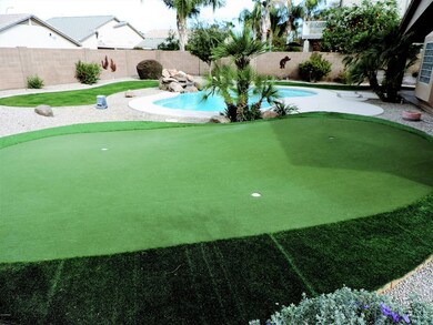 Spacious Back Yard