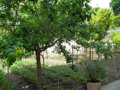 44 Prescott St unit 3, Somerville, MA 02143 - photo 6