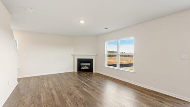 1560 Martingale Way, Roebuck, SC 29376 - photo 6