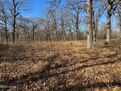 9479 S 670 Rd, Wyandotte, OK 74370 - photo 5