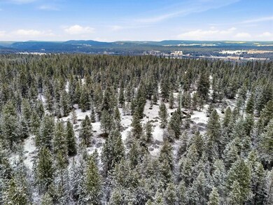 NKA Unassigned Rd, Deer Park, WA 99006 - photo 7