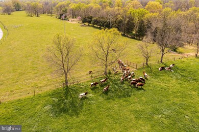 565 Vance Rd, Shepherdstown, WV 25443 - photo 3