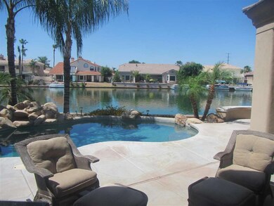 backyard1