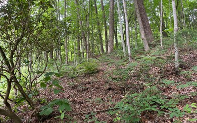 Additional View