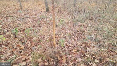 0 High View Rd unit WVHS114982, Purgitsville, WV 26852 - photo 4