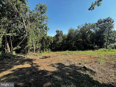 46 Mason Dixon Trail, Fairfield, PA 17320 - photo 3