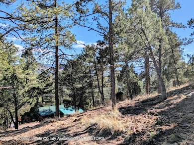 117 San Juan Rd, Ruidoso, NM 88345 - photo 2