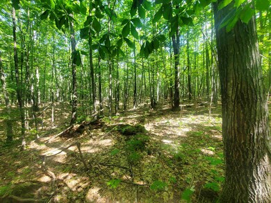 0 Craney Hill Rd, Henniker, NH 03242 - photo 6