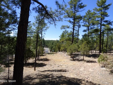 2401 S Hidden Ridge Trail (72)