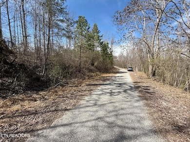 TBD Brandt Pike, Lafollette, TN 37766 - photo 5