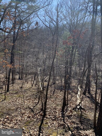 Lot 33 Sugar Maple Dr, Valley, WV 25420 - photo 7