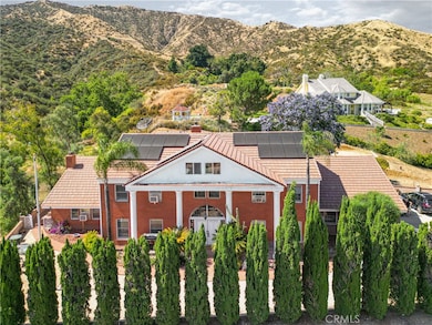 Cypress trees for privacy