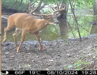 00 Tulip Ave, Floris, IA 52560 - photo 4