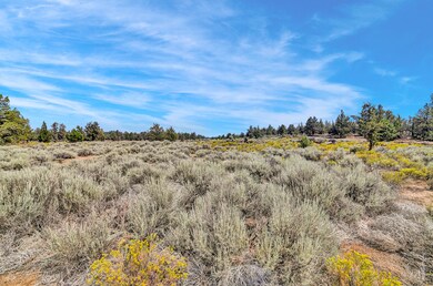 23050 Timland Ln-7