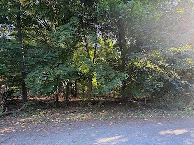 17180 Linda St, South Bend, IN 46635 - photo 3