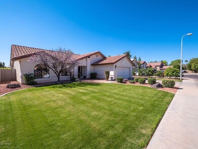 Lush green lawn