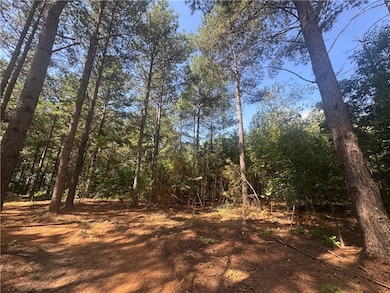 Lot 3 Rogers Rd, Pendleton, SC 29670 - photo 7