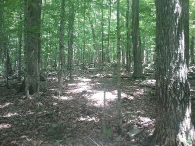 8351 Macedonia Rd, Cookeville, TN 38506 - photo 3