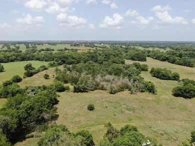 1641 Star Hill Rd, New Ulm, TX 78950 - photo 6