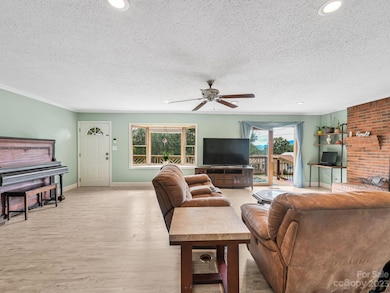 40 Conner Rd, Candler, NC 28715 - photo 7