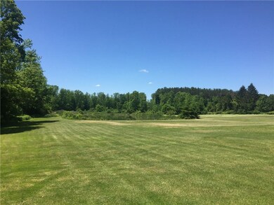 Backyard overlooking pond.