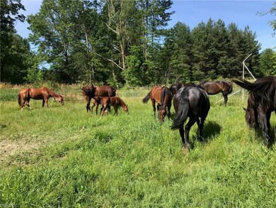 2796 Porter Rd, Atwater, OH 44201 - photo 4