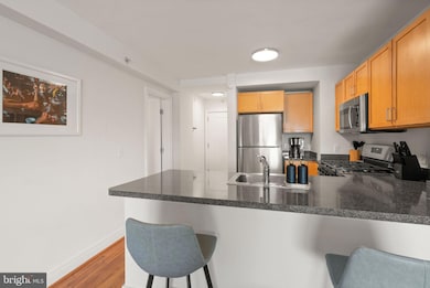 Potomac Place Tower unit S712, Washington, DC 20024 - photo 5