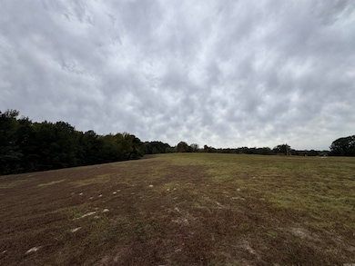 000 Lee Cove, Bryant, AR 72103 - photo 4