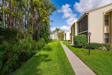 1433 Pine Glen Place unit G1, Tarpon Springs, FL 34688 - photo 6