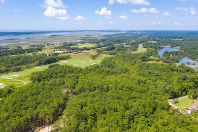 4117 Nesting Egret Dr, Johns Island, SC 29455 - photo 2