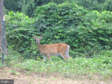 11510 Old Pond Dr, Glenn Dale, MD 20769 - photo 6