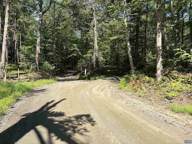 Part of TM 24-1 Mitchell Mountain Rd unit PORTION OF TM 24-1, Haywood, VA 22722 - photo 4