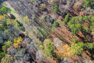 000 Iron Cr 20a, Belleview, MO 63020 - photo 6