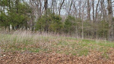 3 Minack Ln, Bella Vista, AR 72714 - photo 2