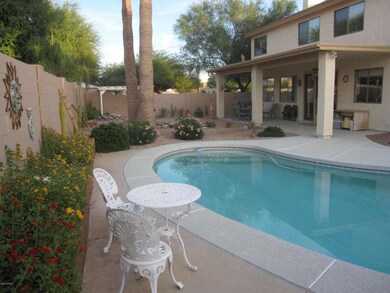 Beautiful Backyard with Pool