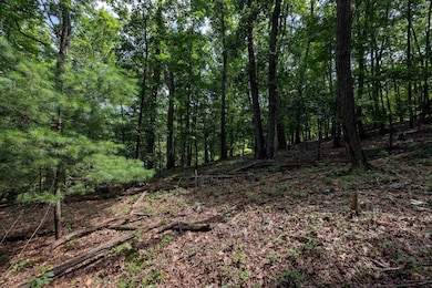 Tbd Brunk Spring Ln, Broadway, VA 22815 - photo 7