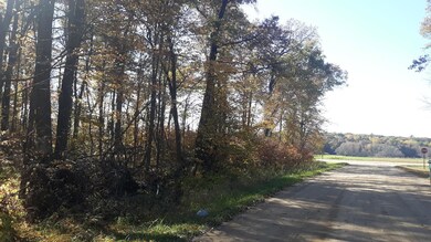 Lot 19 Block 13 285th Ave, Fawn Lake Township, MN 56438 - photo 3