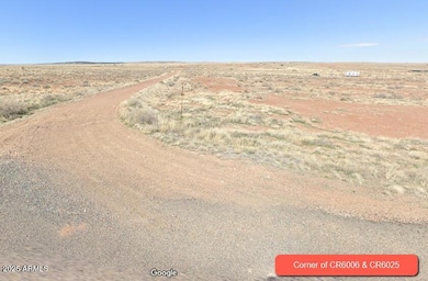 29 County Road 6025 unit 106, Saint Johns, AZ 85936 - photo 4