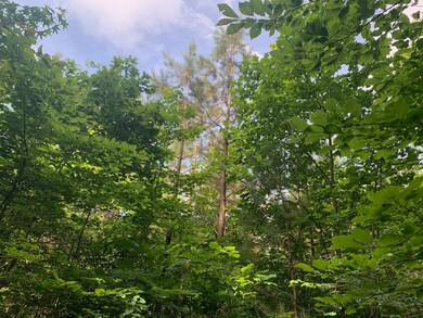 0 Candy Ln unit 10199196, Stantonville, TN 38379 - photo 3