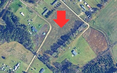 TBD Harden Rd, Pamplico, SC 29583 - photo 2