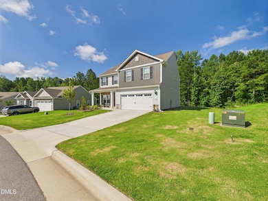 110 Symmetry Loop, Youngsville, NC 27596 - photo 2