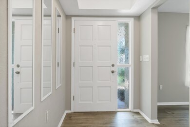 06_DSC04909_mls