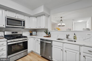 12233 Fairfield House Dr unit 200B, Fairfax, VA 22033 - photo 5