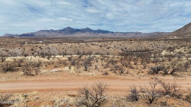 DJI_20250326140510_0026_D_341MC