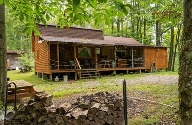 180 Thorpe Mountain Ln, Tallmansville, WV 26237 - photo 7