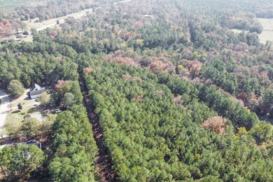 806 Starbuck Dr, Aiken, SC 29803 - photo 4